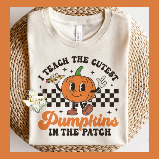 I Teach The Cutest Pumpkins In The Patch